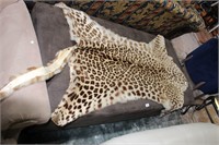 Original antique leopard skin hide