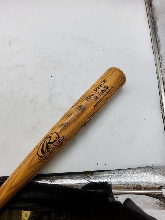 Adirondack pro big stick 114 fungo bat