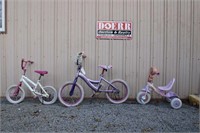 3 Girls bikes