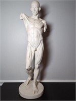 Plaster Male Nude (Artistic Model)