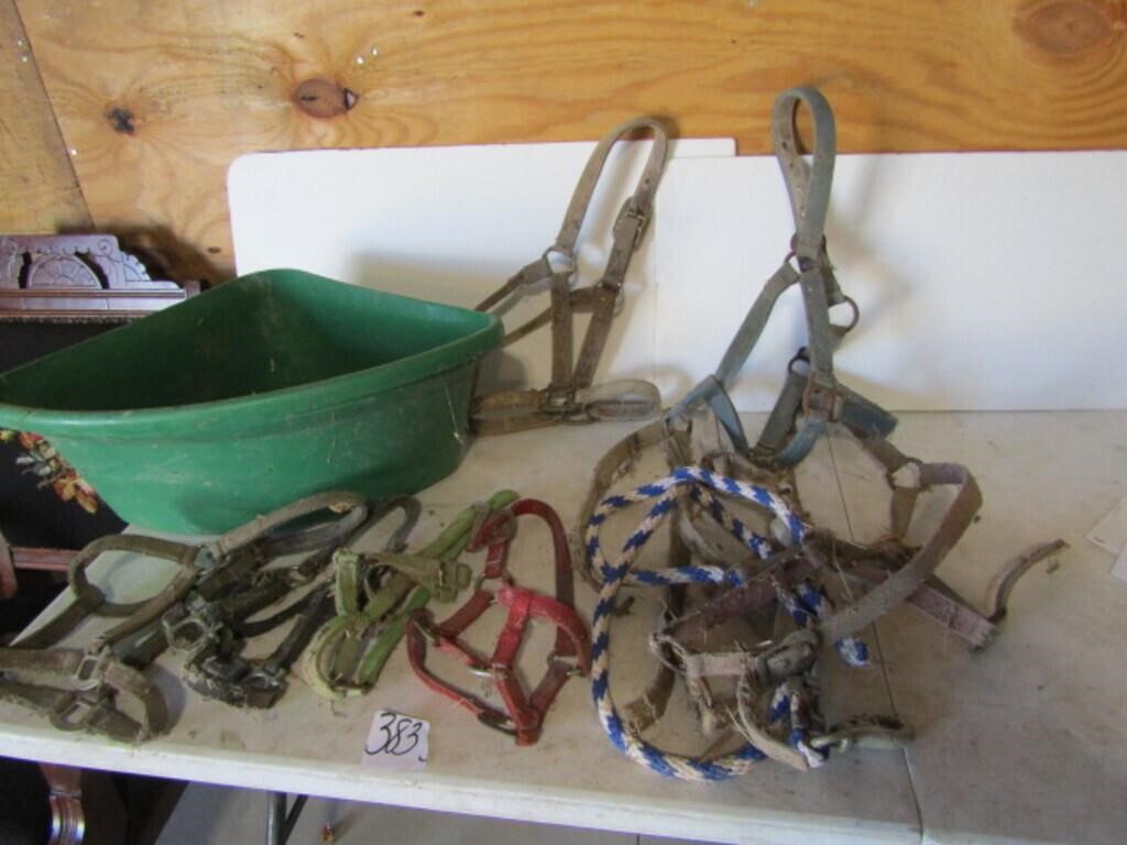 8 HORSE HALTERS, POLY CORNER FEEDER