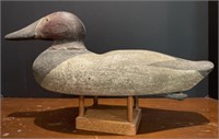 Northern Pintail Duck Decoy