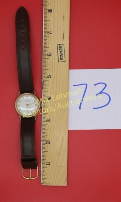 Hampden Shock Protected Antimagnetic Wrist Watch