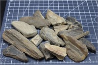 Rough Petrified Wood Chunks, 1lbs