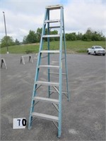 8' Werner Fiberglass Stepladder