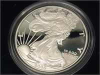 2005 American Silver Eagle