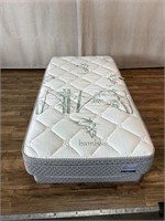 Bamboo Life Twin Mattress with Box Spring