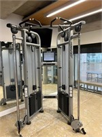 Life Fitness Dual Adjustable Pulley Station