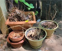 COLLECTION OF FLOWER POTS - PLASTIC