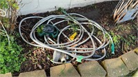 Garden hose and sprinkler