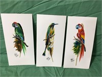 Incredible Birds Painted on Feathers