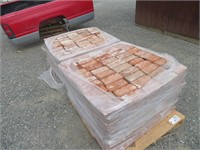 (2) Pallets of Bricks