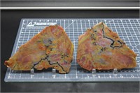 Arizona wood slabs, 10.6 ounces