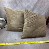 2 Throw Pillows