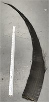 Approx. 57" long baleen strip    (k 78)