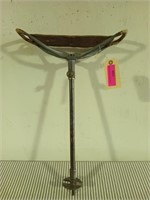 Adjustable walking stick, stool