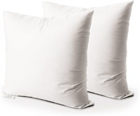 EDOW Throw Pillow Inserts 2Pack