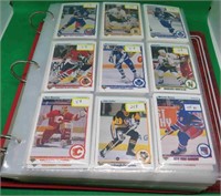 400+ 1990-91 Upper Deck Hockey Cards Richter Mogil
