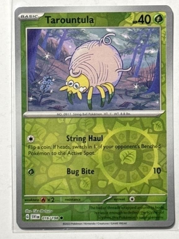 Pokémon, MTG, and More Fantastic TCG Cards!