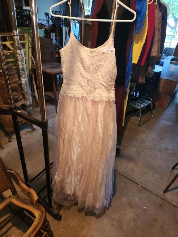 Vintage Pink Woman's Gown