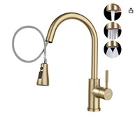 DAYONE Brushed Gold Kitchen Faucet