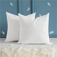 MIULEE 22x22 Pillow Inserts  Set of 2