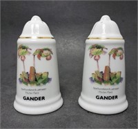 Salt & Pepper Shaker Set