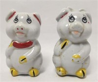 Salt & Pepper Shaker Set