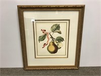 Beautifully framed print of a pear