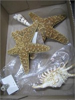 STAR FISH AND SEA SHELLS