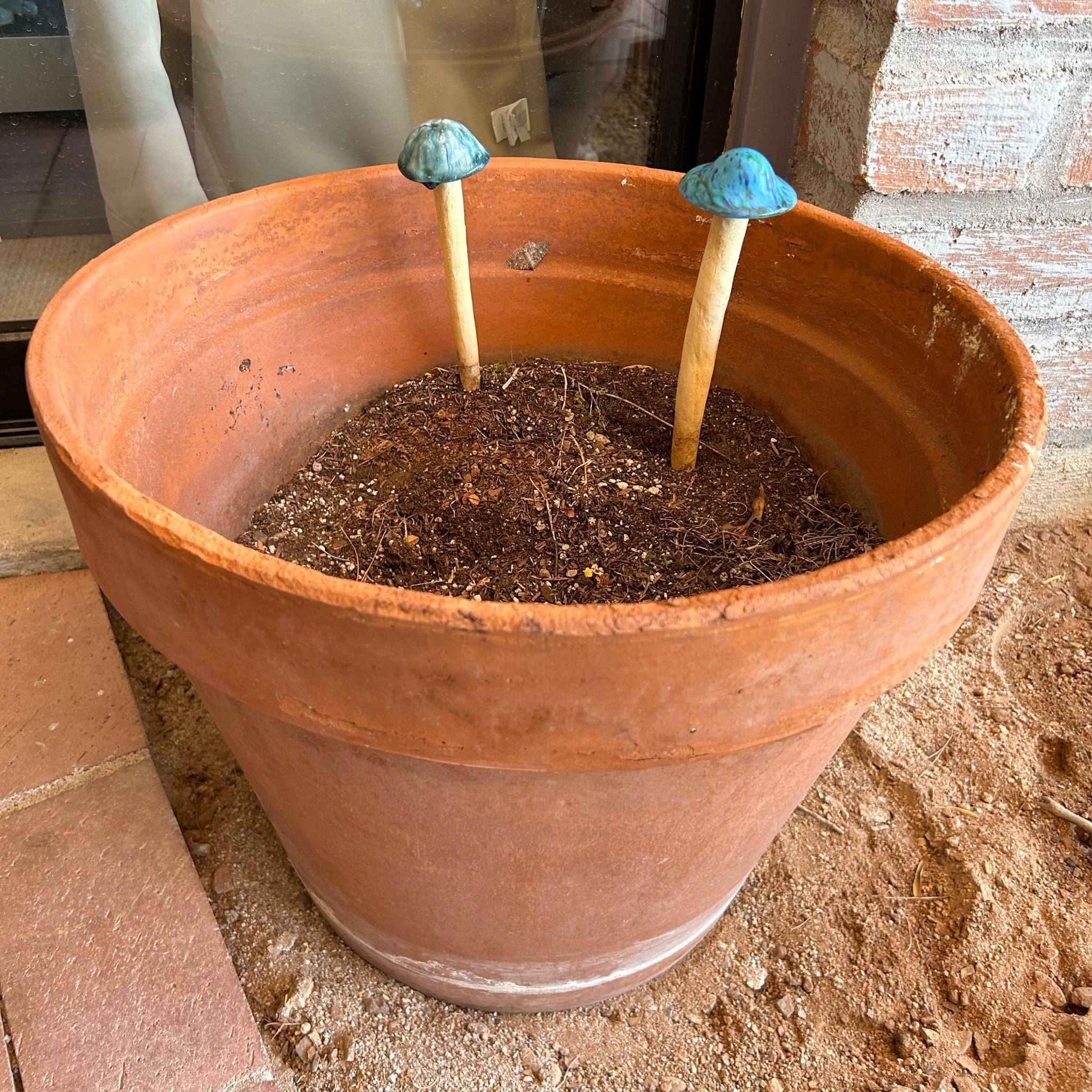 Large Terracotta Planter, 2 Mushroom Decor