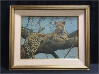 Leopard Art By Gary R. Swanson