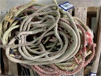Pile of Horse Lead Ropes