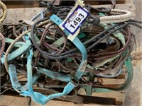 Pile of Horse Halters