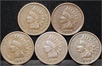 5 Nice Indian Head Pennies