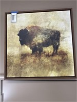 Buffalo Framed Art 32" x 32"