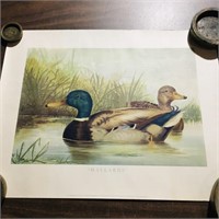 Ducks Unlimited "Mallards" Art Print