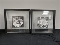 (2) 18 x 13 glass framed picture decor