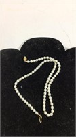 Pearl Necklace MJC