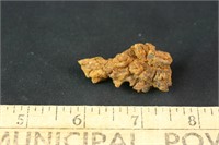 Coprolite  Fossil Dinosaur Dung, 18 grams