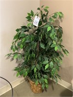 Fake plant 46" tall