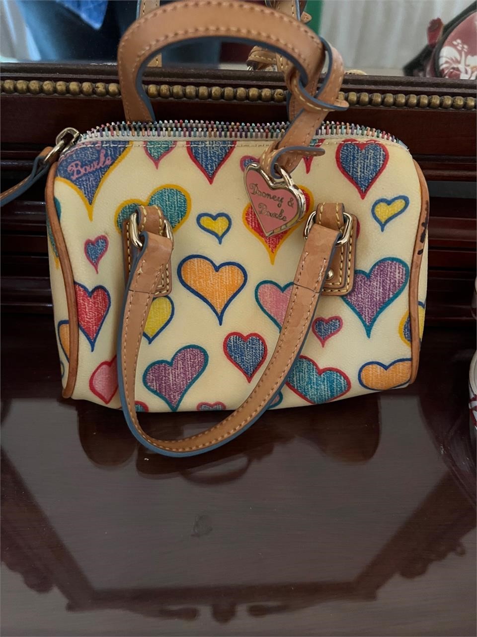 RAINBOW IT DOONEY & BOURKE SMALL BAG