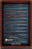 The Wizarding World Harry Potter Wands Wall Poster