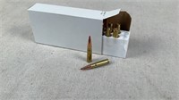 (20) SubSonic 208gr 300 Blackout Ammo