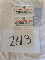 2 Boxes Wildcat 22s (50 Rounds each)