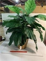 Fake Plant in Basket