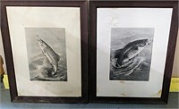 2 ANTIQUE B&W FISHING FISHERMAN PRINTS