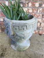 Large Concrete Planter