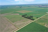 112.35 Acres M/L Farmland in Plymouth County, IA