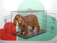 NEW 2-Door Black Wire Collapsible Dog Crate MEDIUM